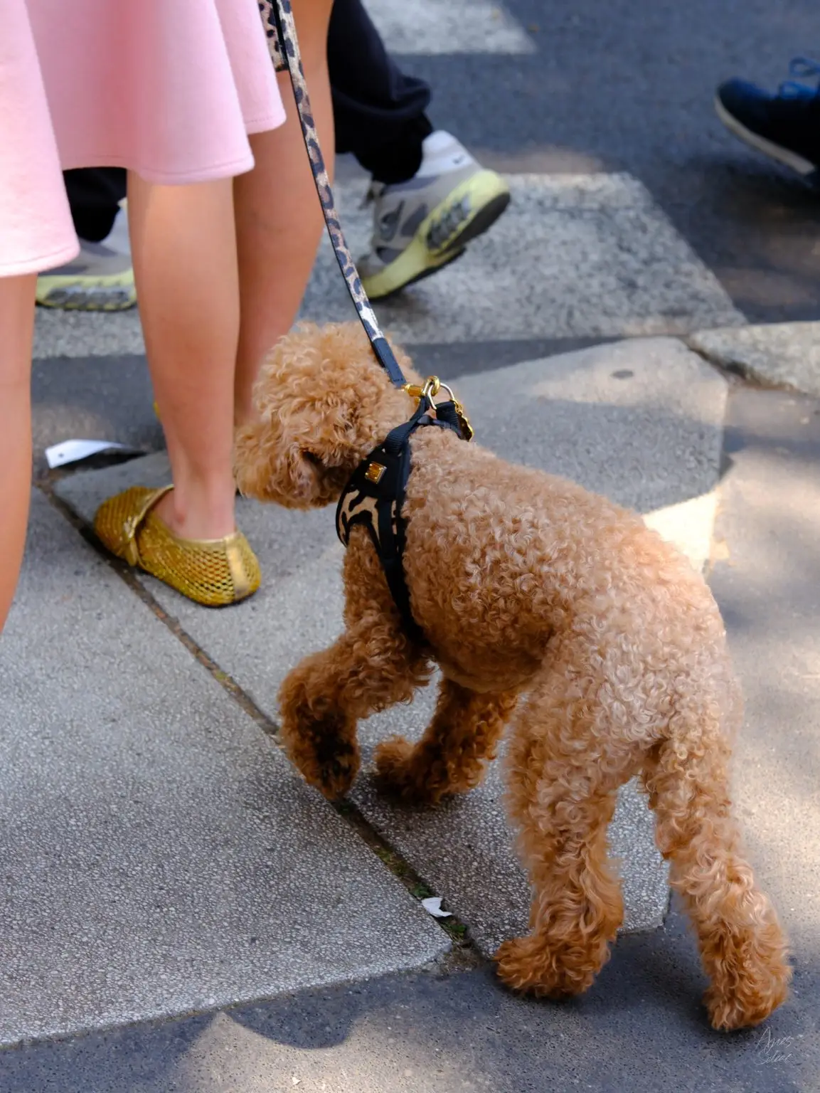 MFW Street Style